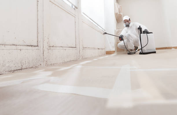24/7 Emergency Mold Removal experts in Windsor, VA